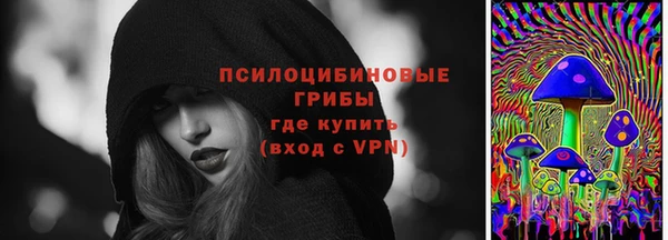 ALPHA PVP Покров