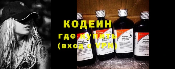 ешки Лагань