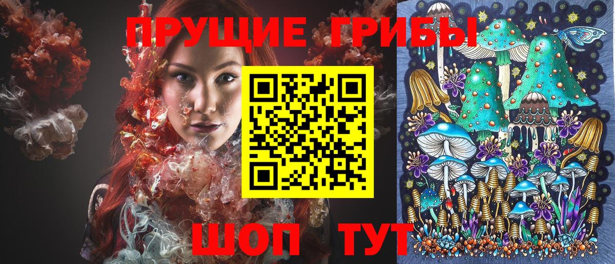 Псилоцибиновые грибы MAGIC MUSHROOMS  купить закладку  Майский  Вход с VPN  Галлюциногенные грибы Cubensis 