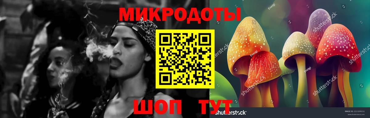 Галлюциногенные грибы Psilocybe Майский